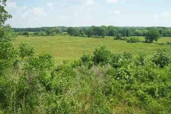Commercial property in Hutchins, Texas